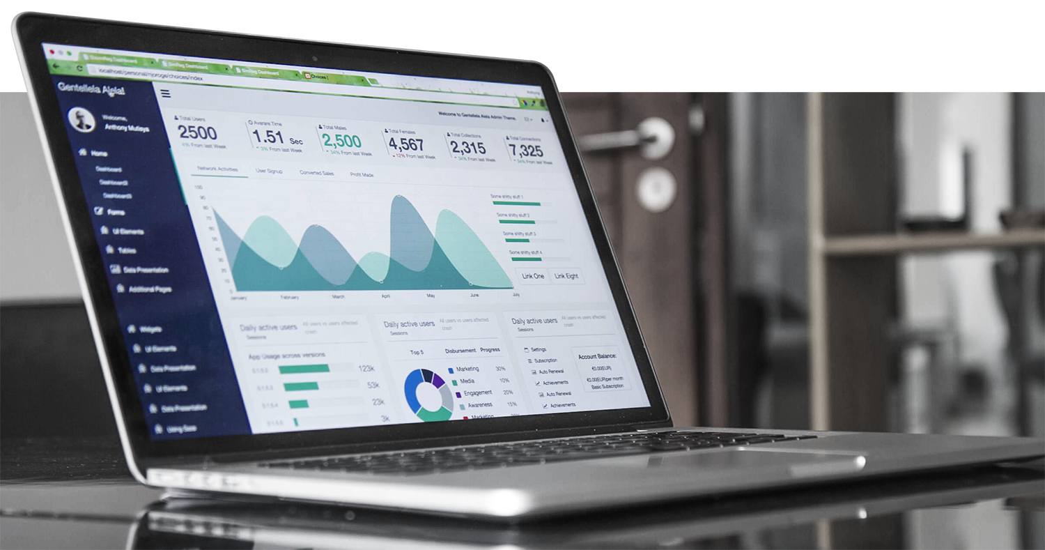 SEO Service Auckland